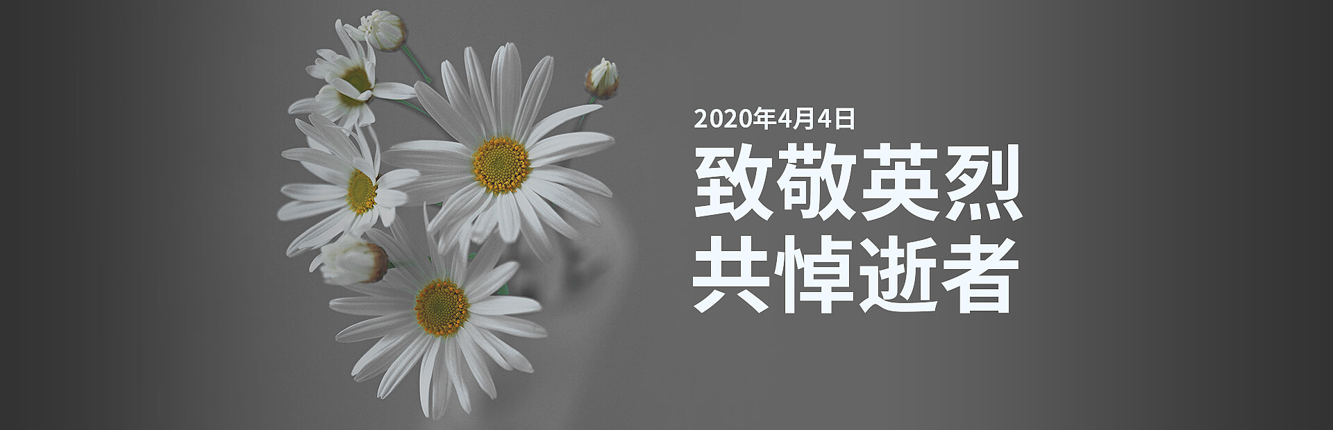 bg-27acaad95d.jpg bg-27acaad95d.jpg